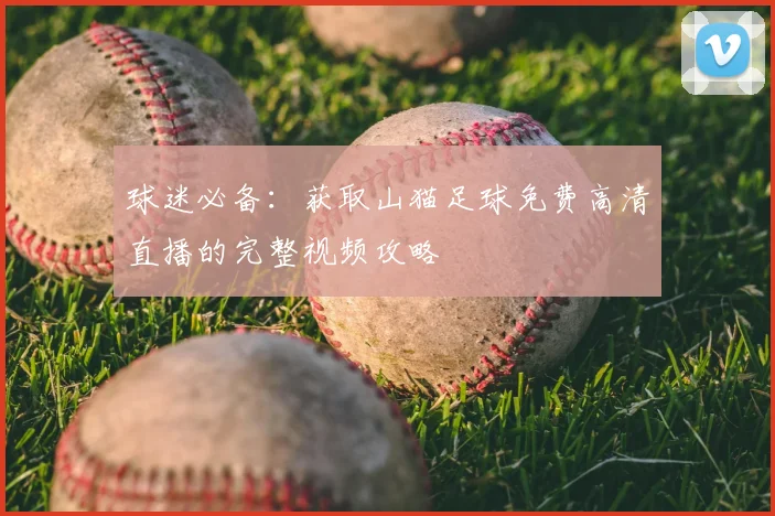 球迷必备：获取山猫足球免费高清直播的完整视频攻略