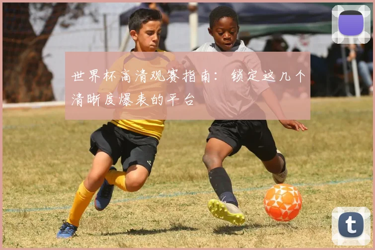 世界杯高清观赛指南：锁定这几个清晰度爆表的平台