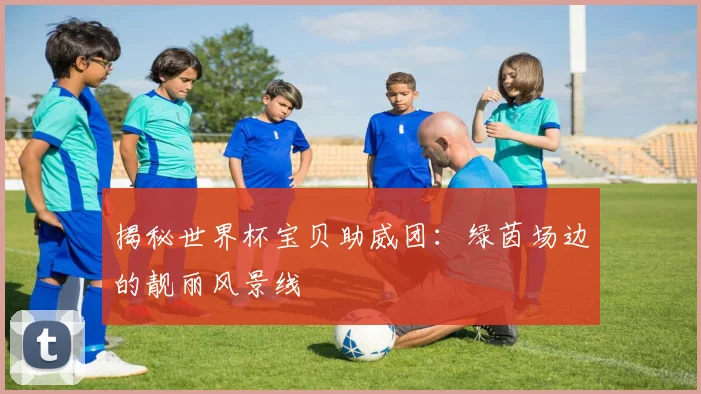 揭秘世界杯宝贝助威团：绿茵场边的靓丽风景线