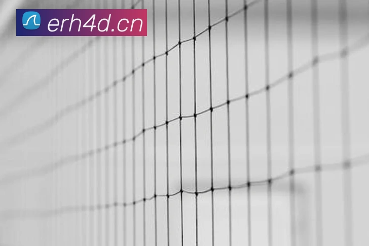 App Interface Preview